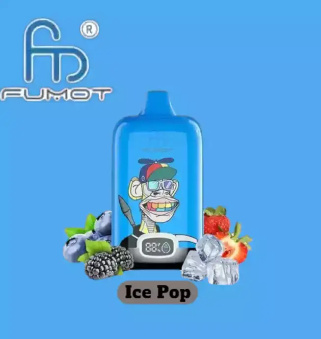 RandM Fumot Digital Box 12000 Züge Blaubeere Himbeere Einweg-Vape