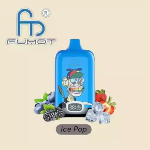 RandM Fumot Digital Box 12000 Züge Blaubeere Himbeere Einweg-Vape