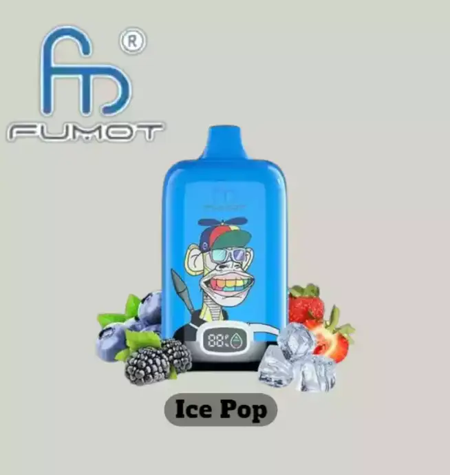 RandM Fumot Digital Box 12000 Züge Blaubeere Himbeere Einweg-Vape