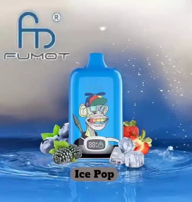 RandM Fumot Digital Box 12000 Züge Blaubeere Himbeere Einweg-Vape