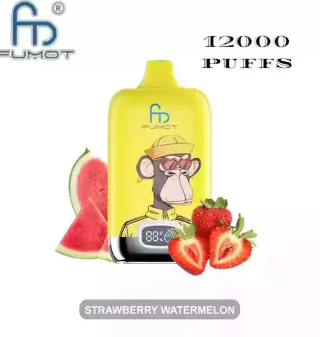 RandM Fumot Digital Box 12000 Züge Einweg-Vape Wassermelonen-Geschmack