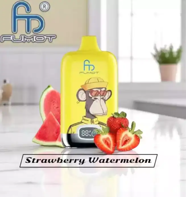 RandM Fumot Digital Box 12000 Züge Einweg-Vape Wassermelonen-Geschmack