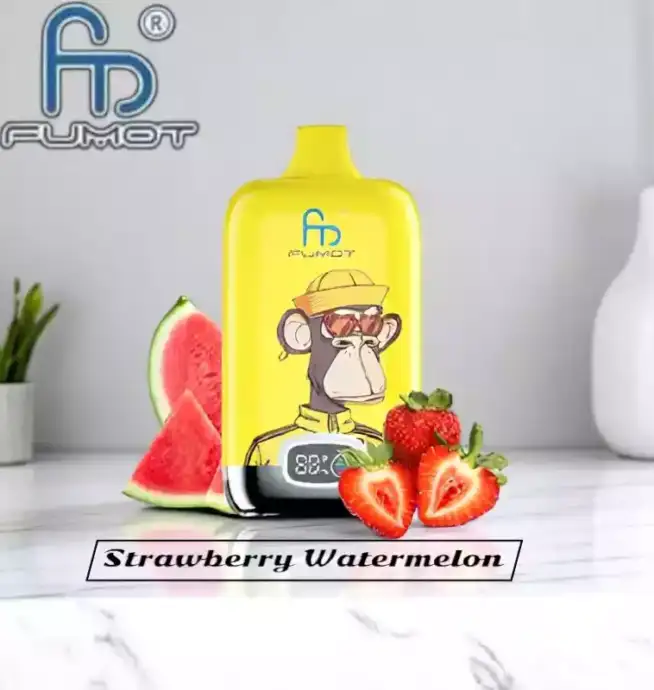 RandM Fumot Digital Box 12000 Züge Einweg-Vape Wassermelonen-Geschmack