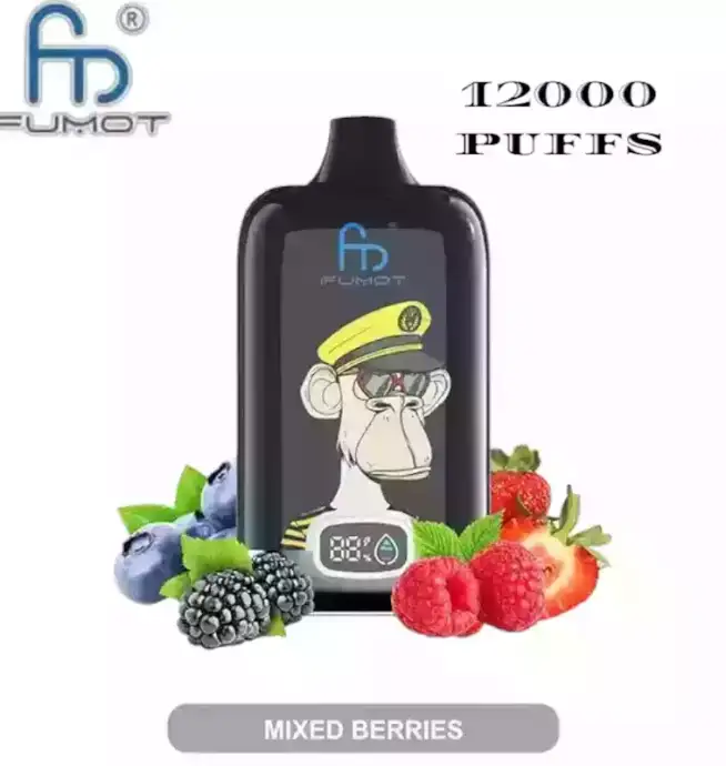 RandM Fumot Digital Box 12000 puffs wegwerpvape met bosbes en framboos