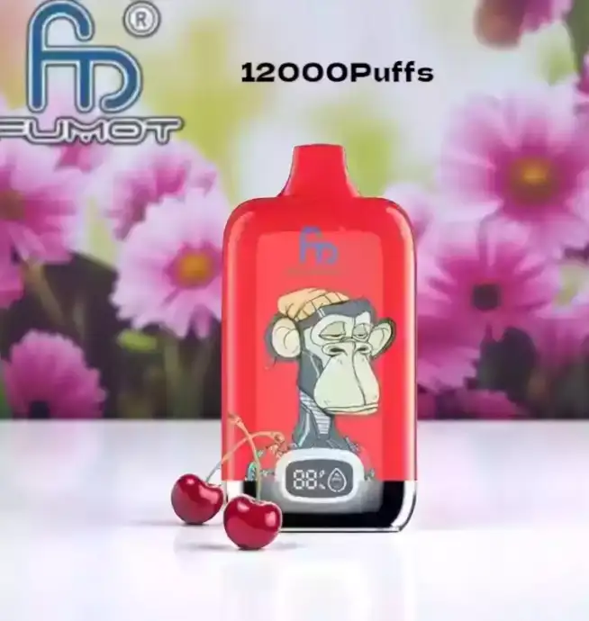 RandM Fumot Digital Box 12000 Züge  Kirschgeschmack Einweg Vape