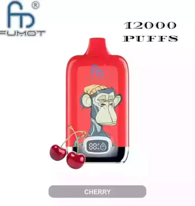 RandM Fumot Digital Box 12000 bouffées Mesh Coil Rechargeable Vaporisateur jetable