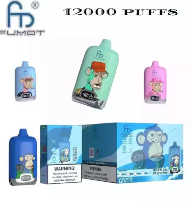 RandM Fumot Digital Box 12000 bouffées Mesh Coil Rechargeable Vaporisateur jetable