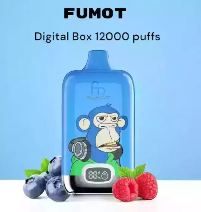 RandM Fumot Digital Box 12000 bouffées Mesh Coil Rechargeable Vaporisateur jetable