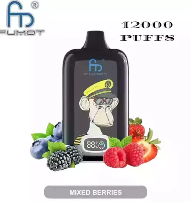 RandM Fumot Digital Box 12000 bouffées Mesh Coil Rechargeable Vaporisateur jetable