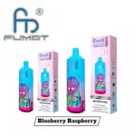 RandM Tornado 9000 Pro Puffs Einweg-Vape Blueberry Raspberry Geschmack