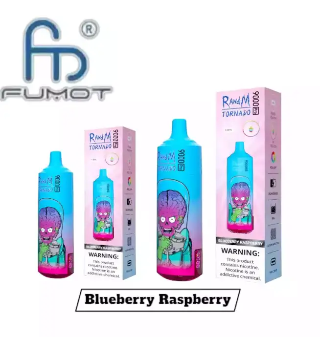 RandM Tornado 9000 Pro Puffs Einweg-Vape Blueberry Raspberry Geschmack